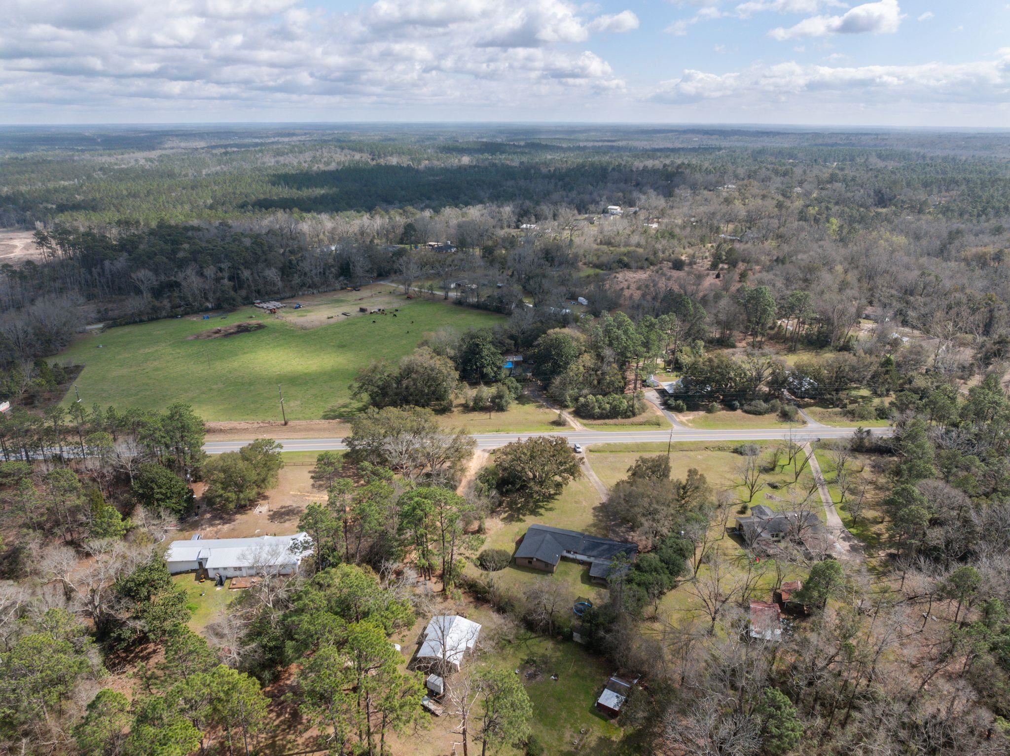 46091 Highway 31 Bay Minette, AL 36507 - Photo 35 of 35 Aerial View