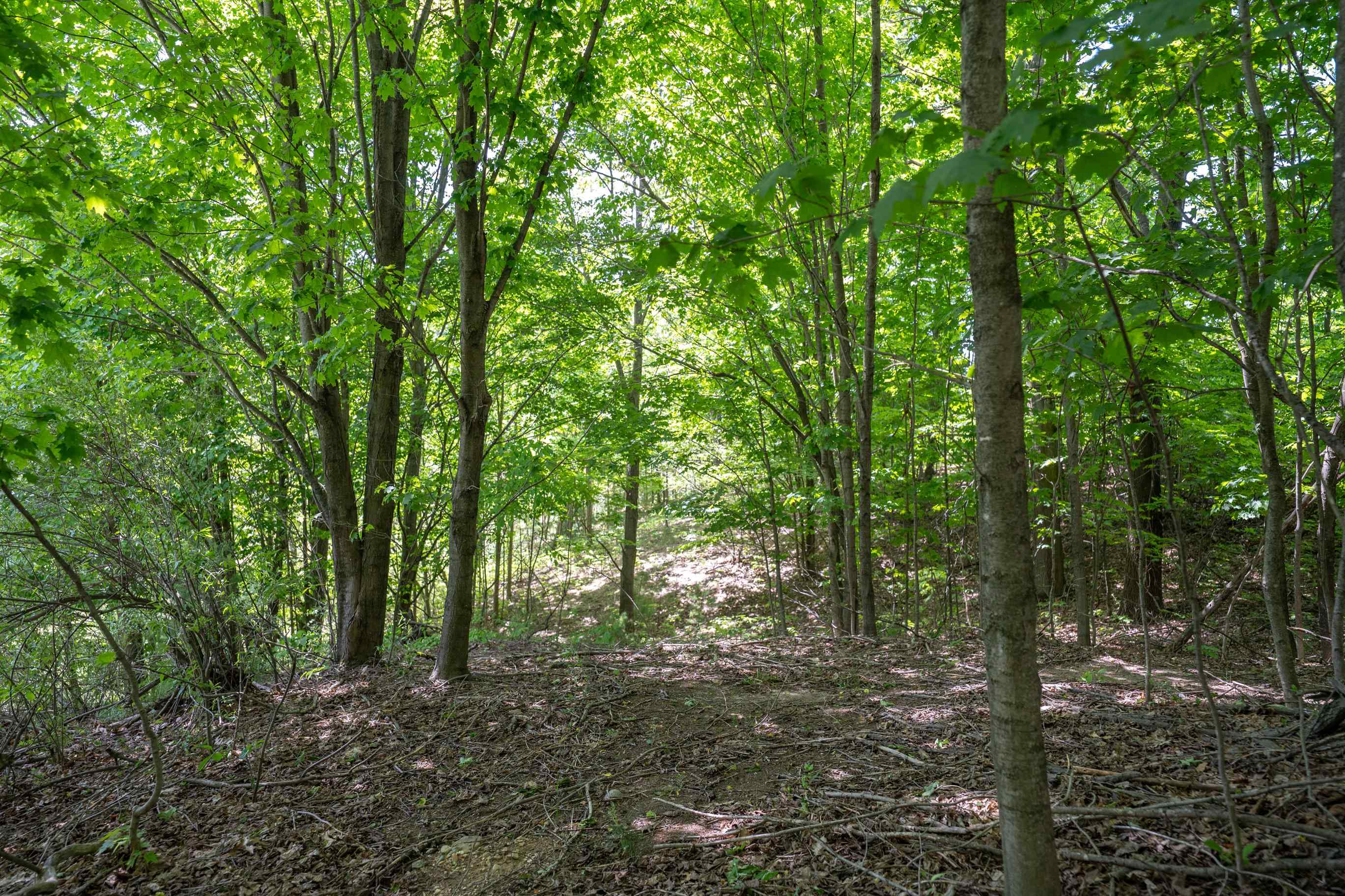 Tbd Traverse Road Thompsonville, MI 49683 - Photo 27 of 40