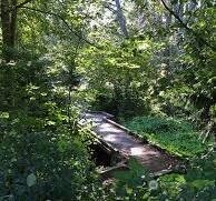 9501 Interlake Avenue North Seattle, WA 98103 - Photo 35 of 36