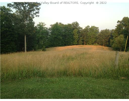 6 Beachmont Ests Road Ripley, WV 25271 - Photo 2 of 7 Land.