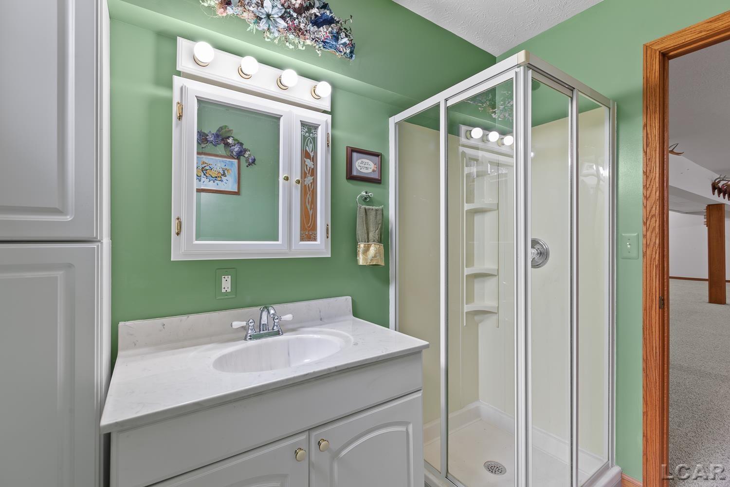 2010 South Kane Road Stockbridge, MI 49285 - Photo 39 of 80