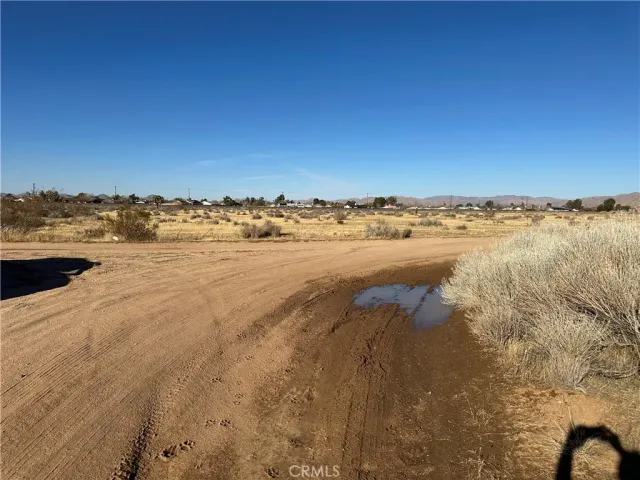 a view of beach and ocean