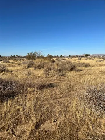 a black and white photo of a rug