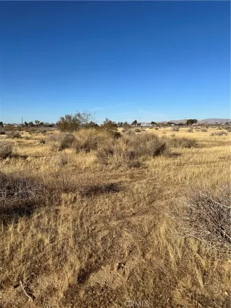 a black and white photo of a rug