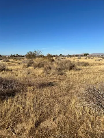 a black and white photo of a rug