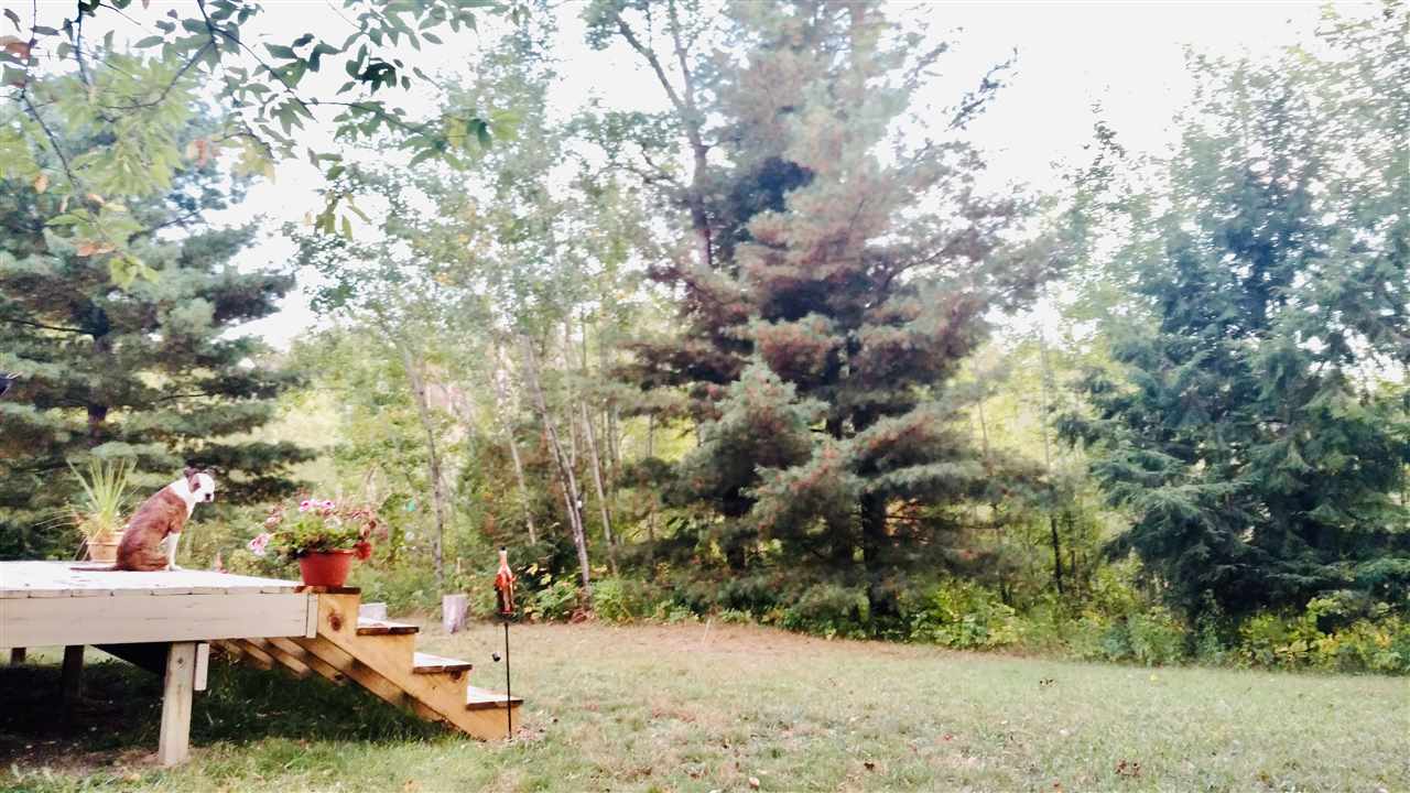 8273 Platte Road Beulah, MI 49617 - Photo 39 of 60 1873249-38.JPG