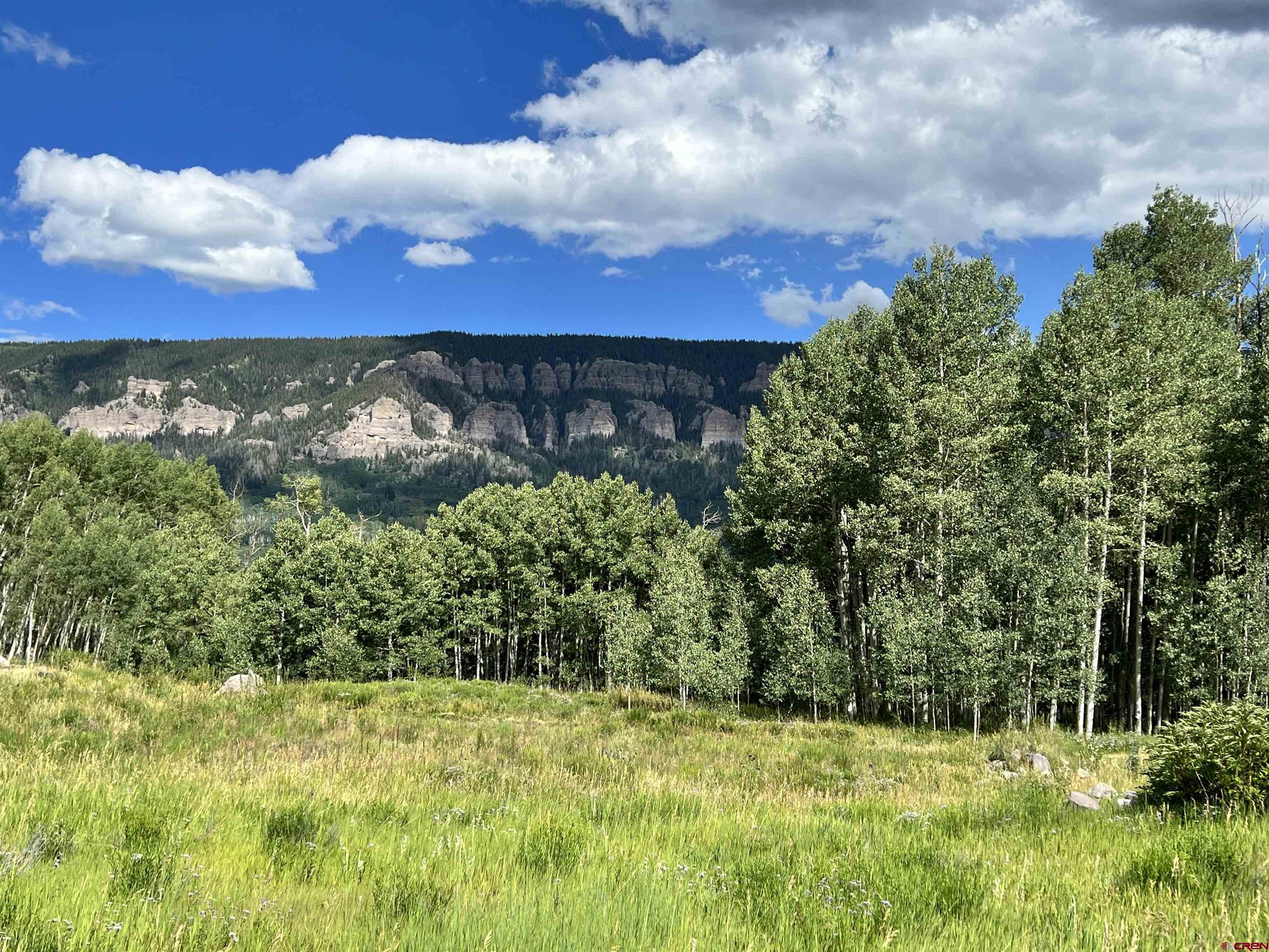 1073 Hampton Road Montrose, CO 81403 - Photo 1 of 26 a view of a yard with a tree