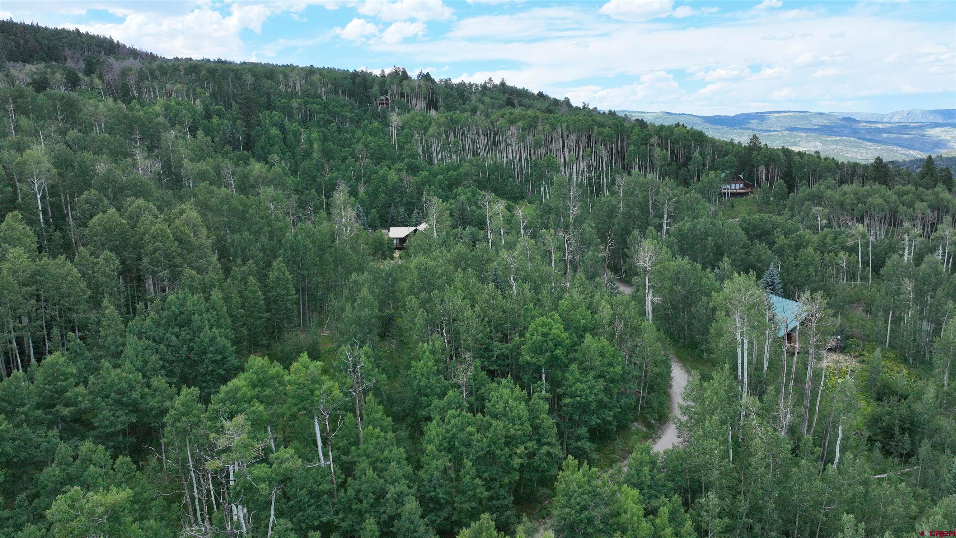 1073 Hampton Road Montrose, CO 81403 - Photo 11 of 26 a view of a lush green forest with trees and some houses