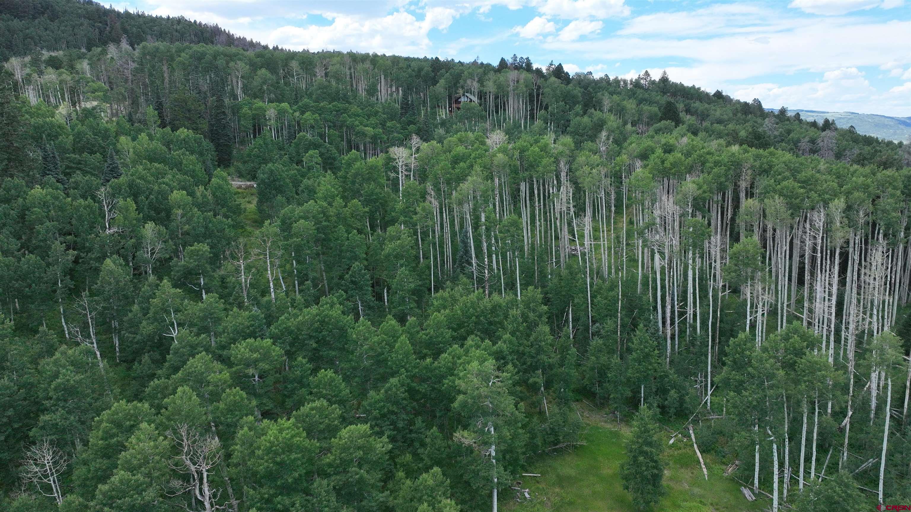 1073 Hampton Road Montrose, CO 81403 - Photo 12 of 26 a view of a lush green forest