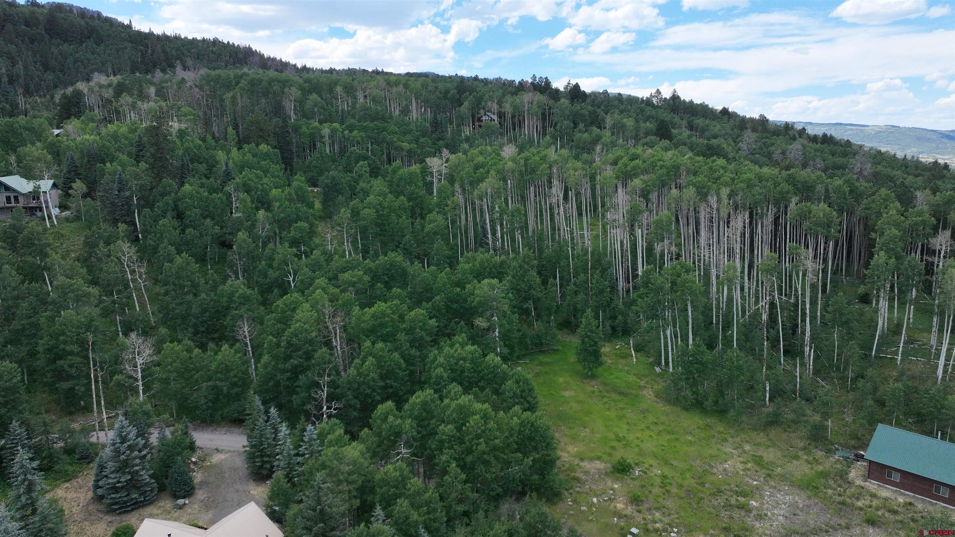 1073 Hampton Road Montrose, CO 81403 - Photo 13 of 26 a view of a lush green forest with a street