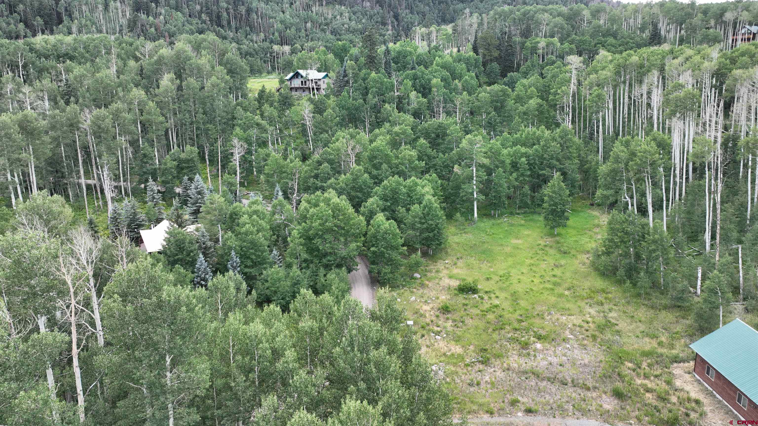 1073 Hampton Road Montrose, CO 81403 - Photo 16 of 26 a view of a lush green forest