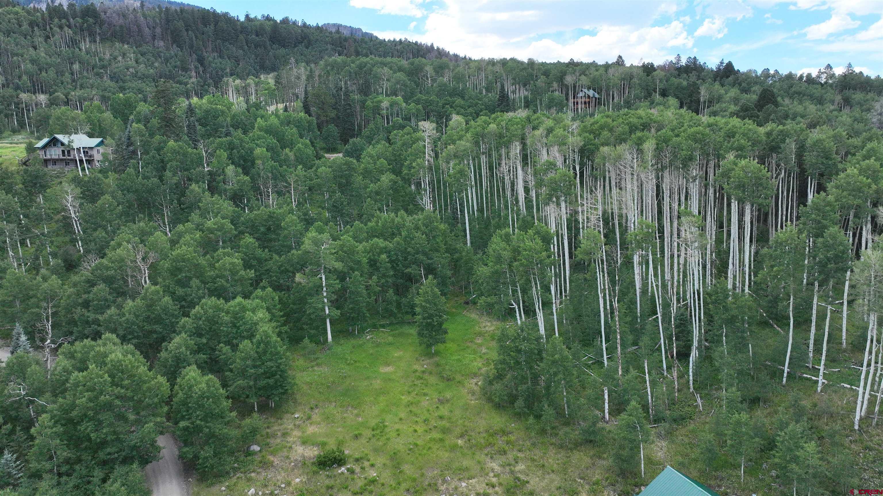 1073 Hampton Road Montrose, CO 81403 - Photo 20 of 26 a view of a lush green forest with trees and some trees