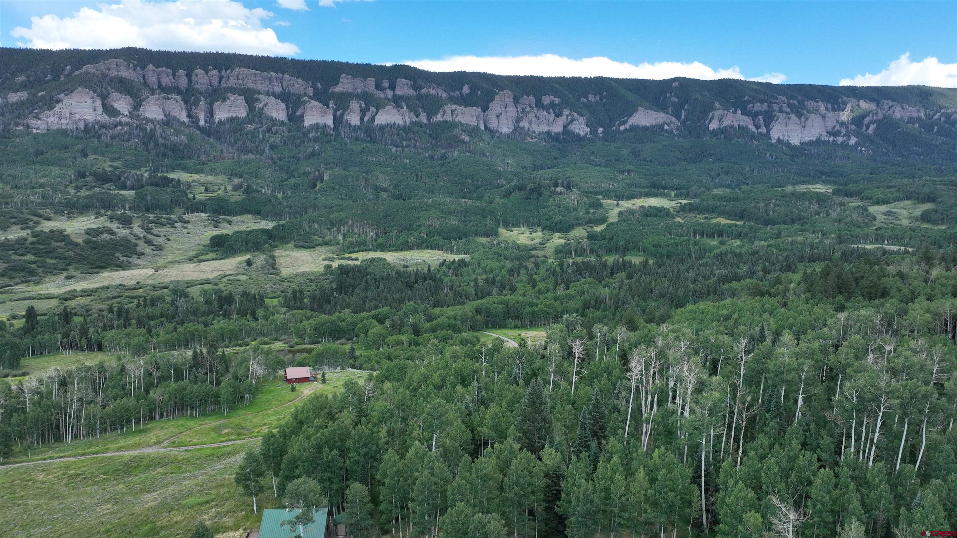 1073 Hampton Road Montrose, CO 81403 - Photo 22 of 26 a view of a lush green field with lots of bushes