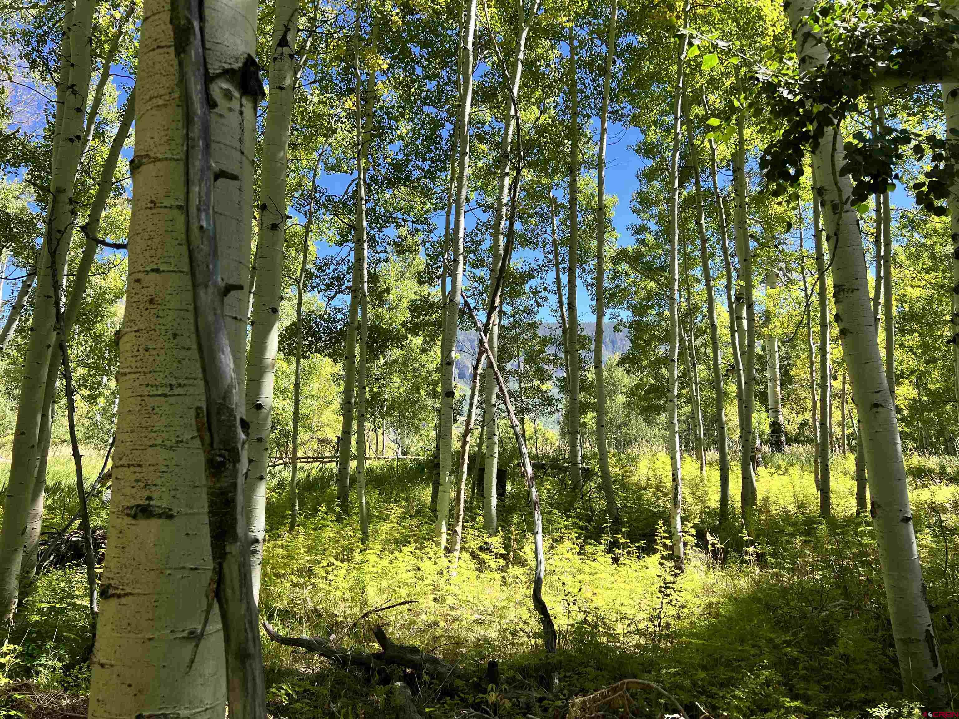 1073 Hampton Road Montrose, CO 81403 - Photo 26 of 26 a view of swimming pool from a yard