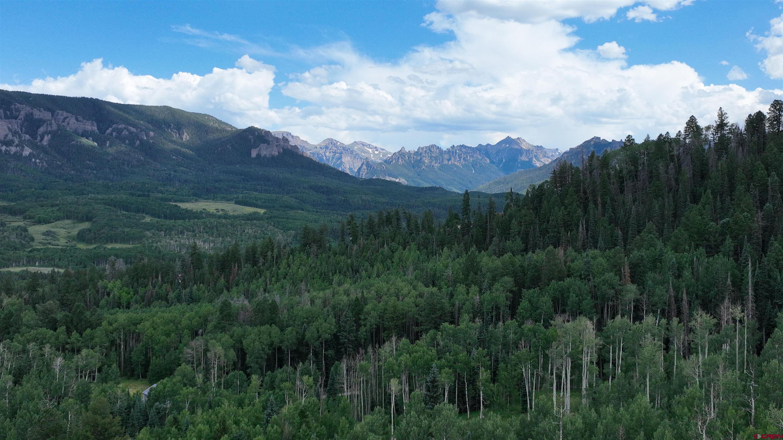 1073 Hampton Road Montrose, CO 81403 - Photo 3 of 26 a view of a lush green hillside and a mountain view