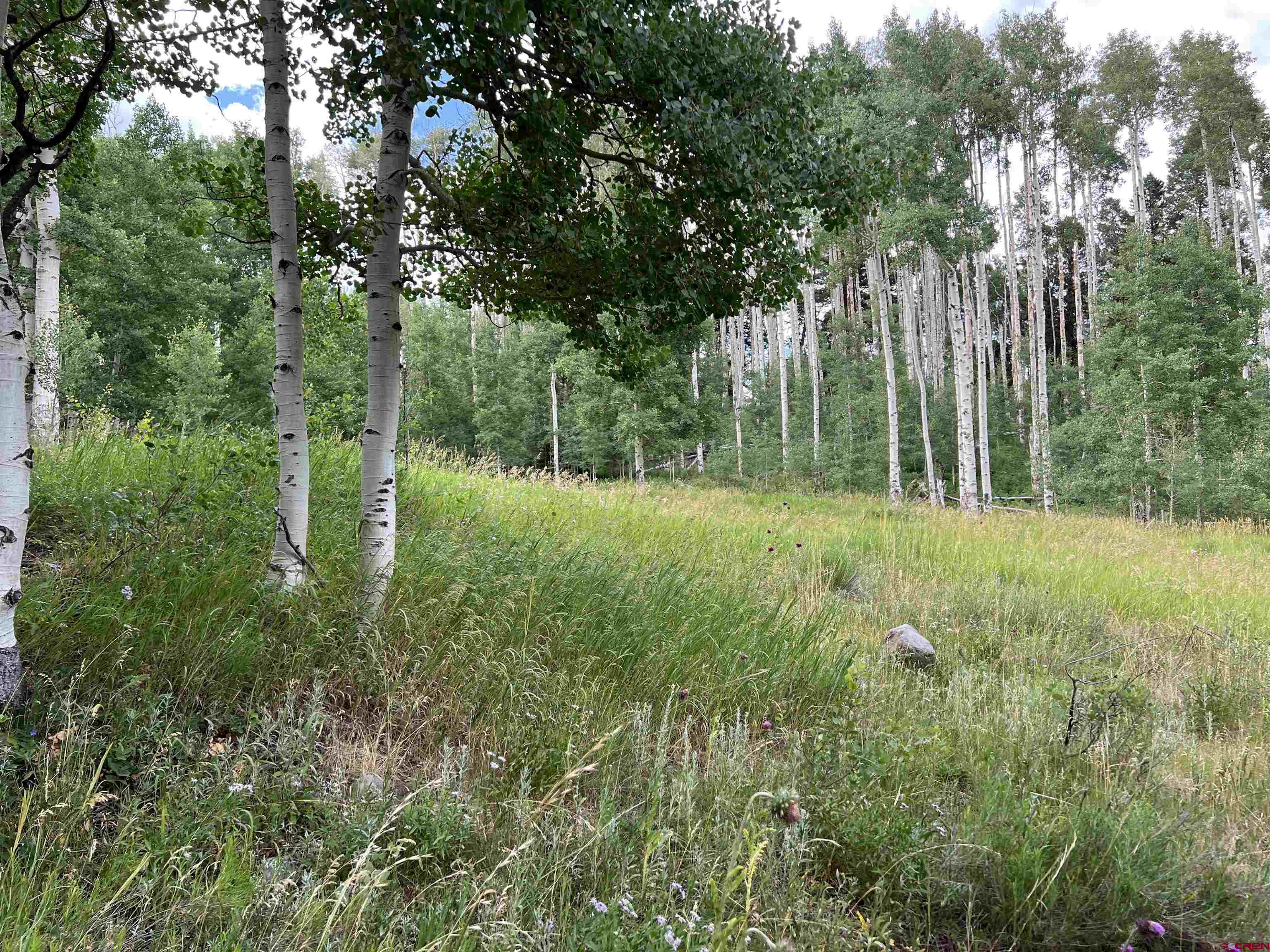 1073 Hampton Road Montrose, CO 81403 - Photo 4 of 26 a view of outdoor space with green field and trees