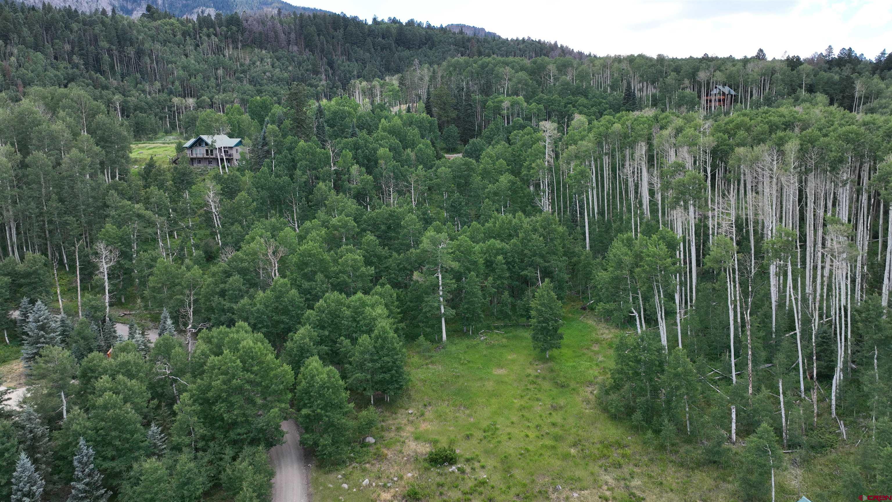 1073 Hampton Road Montrose, CO 81403 - Photo 5 of 26 a view of a lush green forest