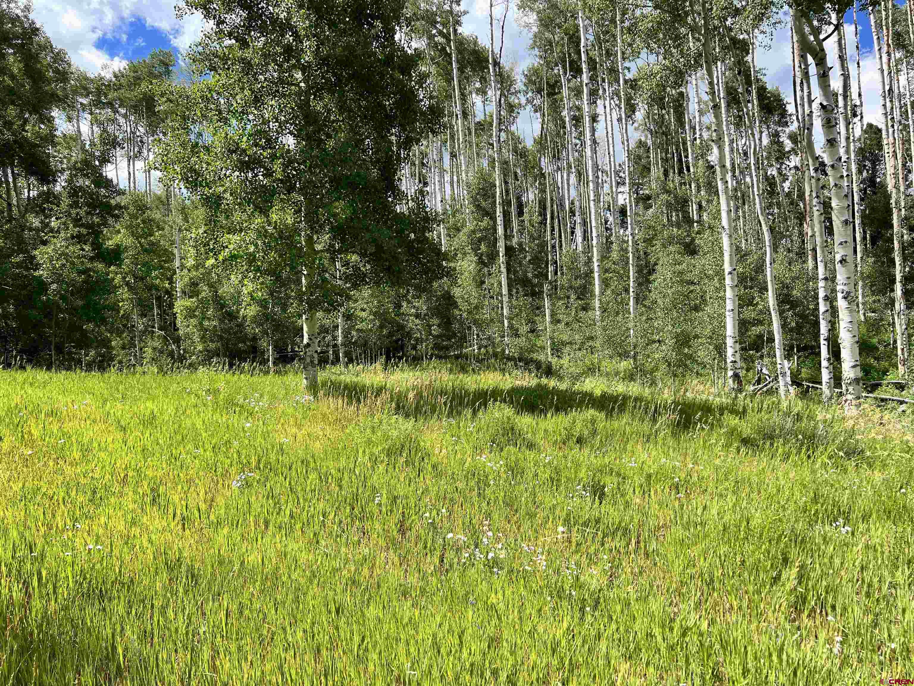 1073 Hampton Road Montrose, CO 81403 - Photo 6 of 26 a view of outdoor space with a garden