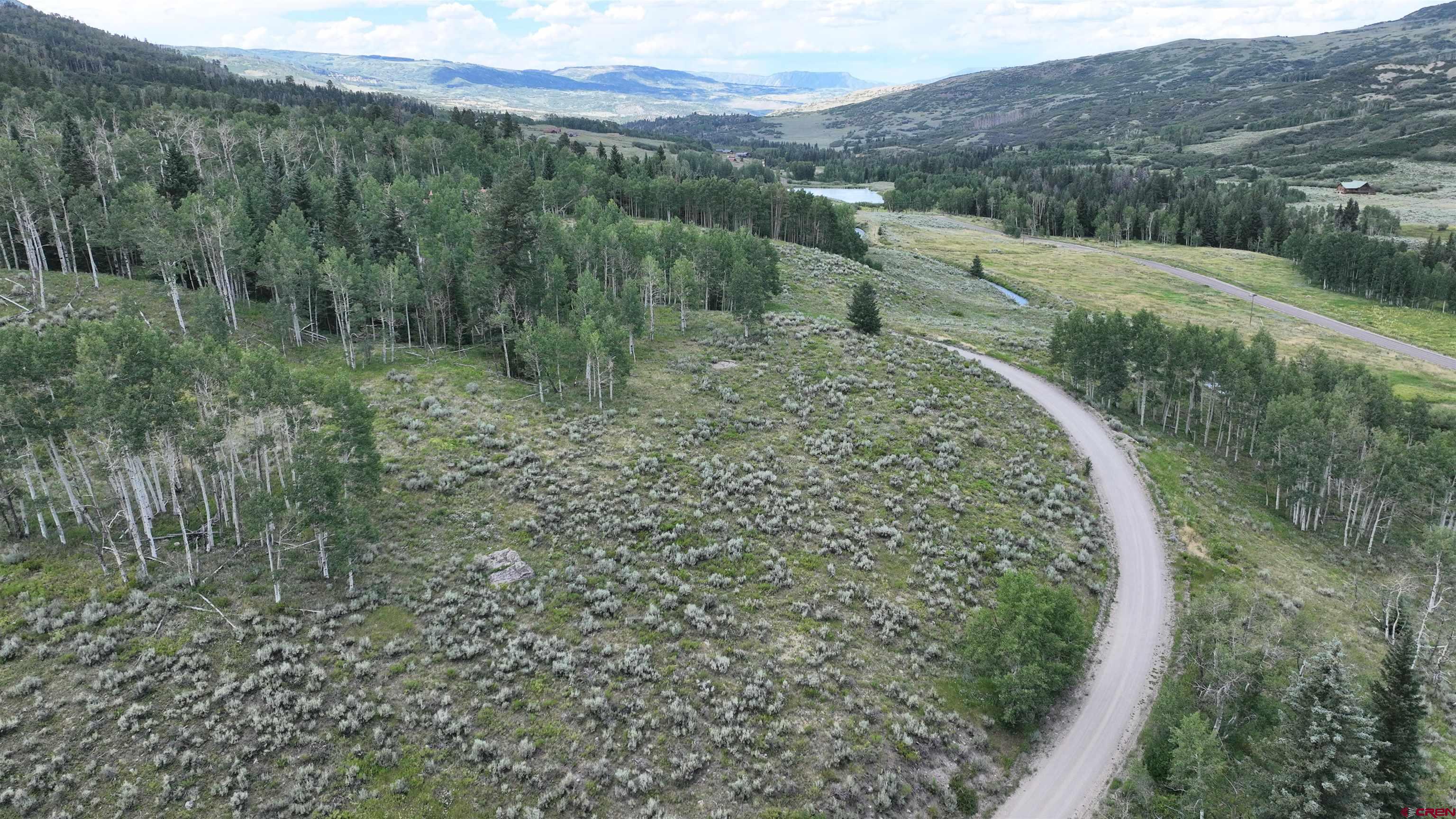 1073 Hampton Road Montrose, CO 81403 - Photo 8 of 26 a view of a forest with a yard