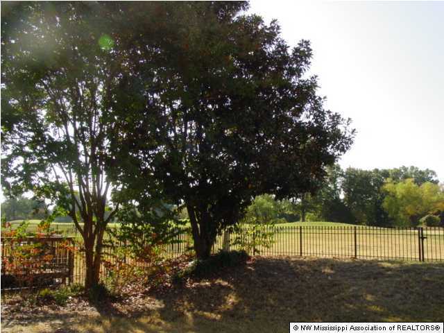 9055 Plantation Road Olive Branch, MS 38654 - Photo 4 of 15 Additional Photo