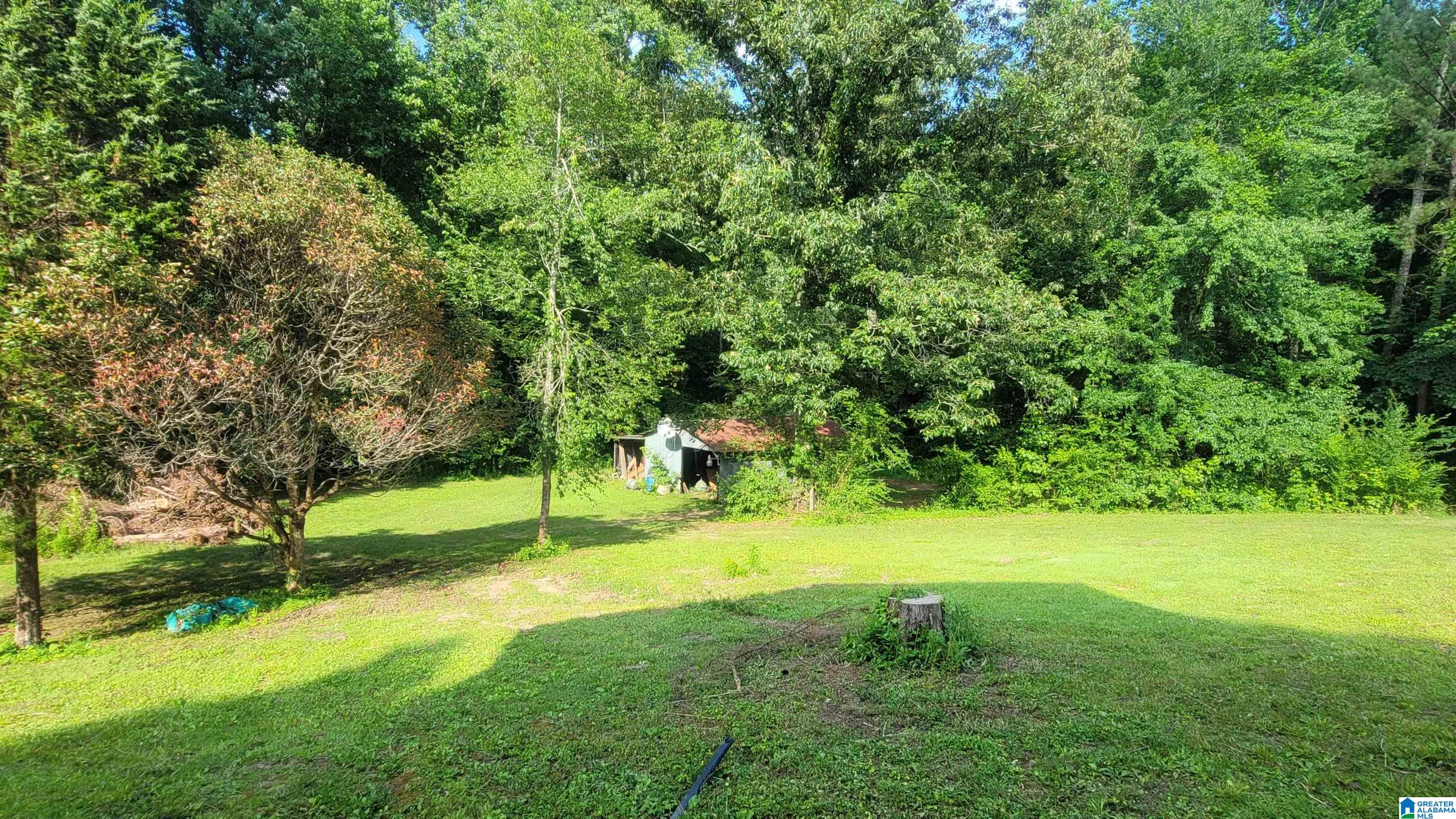 911 Arkadelphia Road Warrior, AL 35180 - Photo 43 of 49