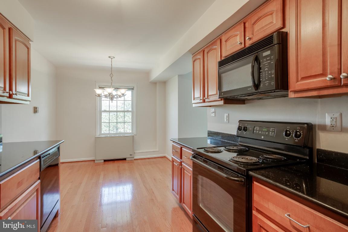 3336 Spring Lane, Unit A40 Falls Church, VA 22041 - Photo 17 of 33 Kitchen