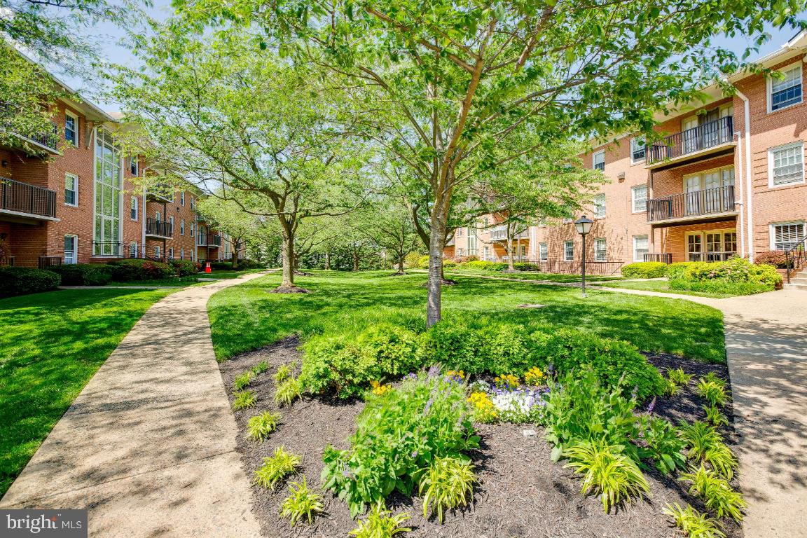 3336 Spring Lane, Unit A40 Falls Church, VA 22041 - Photo 32 of 33 Community