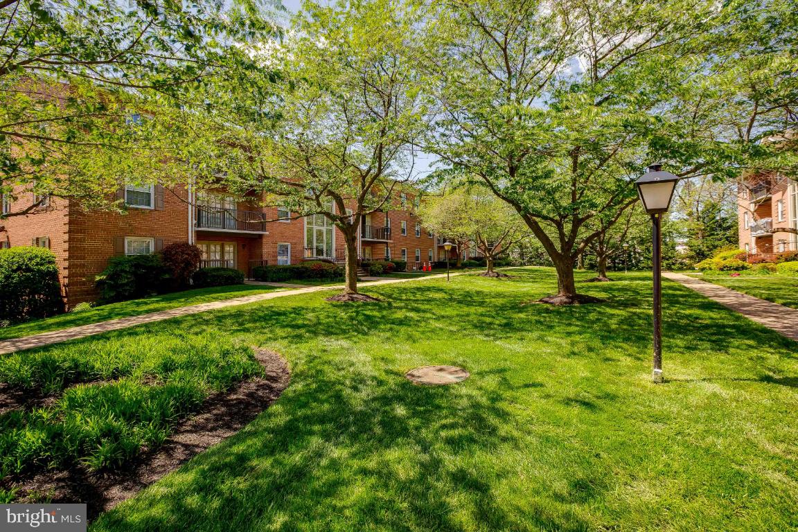 3336 Spring Lane, Unit A40 Falls Church, VA 22041 - Photo 33 of 33 Community