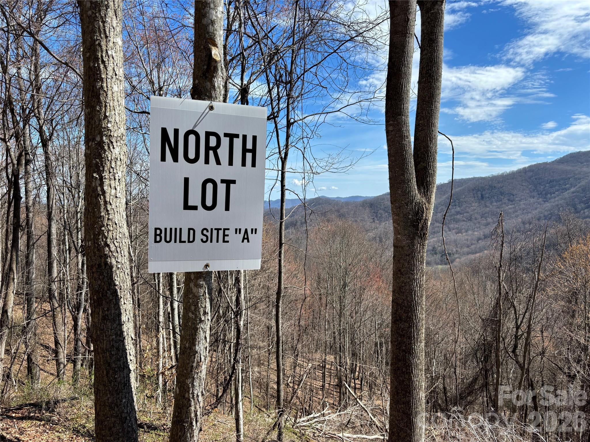 North Lot) Meadow Fork Road Hot Springs, NC 28743 - Photo 12 of 33