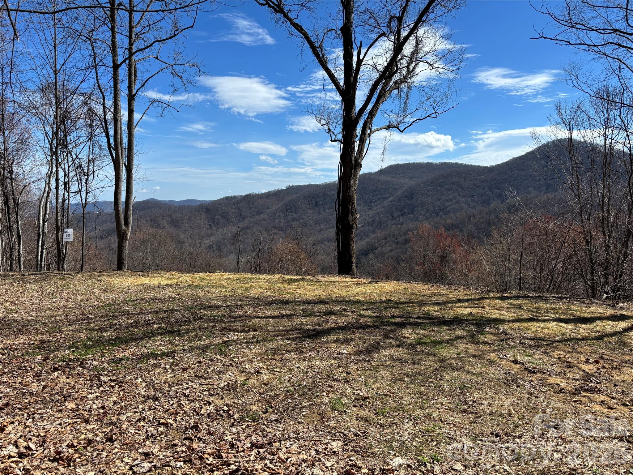 North Lot) Meadow Fork Road Hot Springs, NC 28743 - Photo 13 of 33