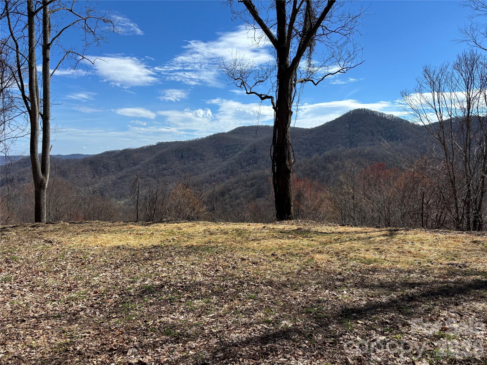 North Lot) Meadow Fork Road Hot Springs, NC 28743 - Photo 14 of 33