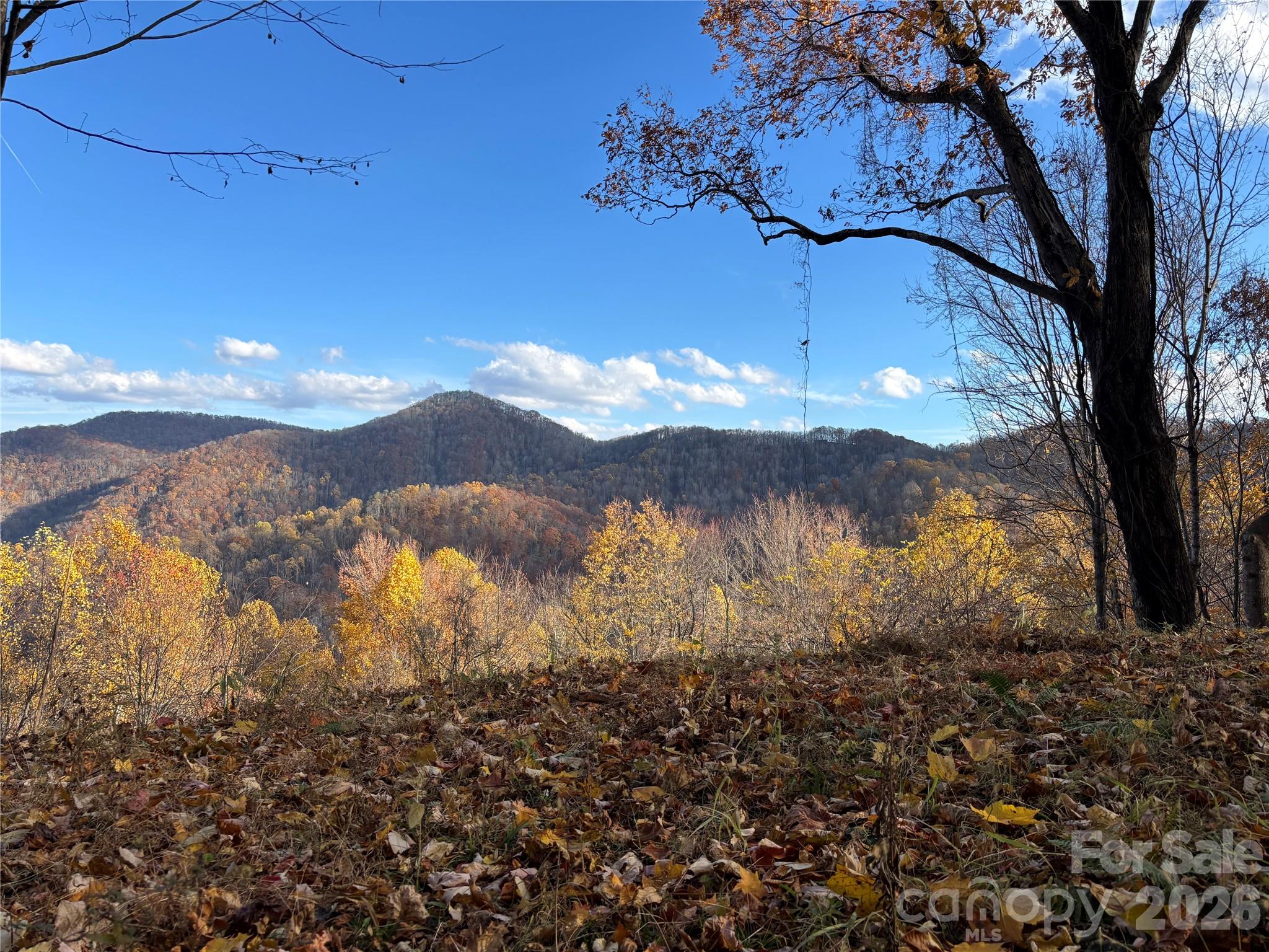 North Lot) Meadow Fork Road Hot Springs, NC 28743 - Photo 16 of 33