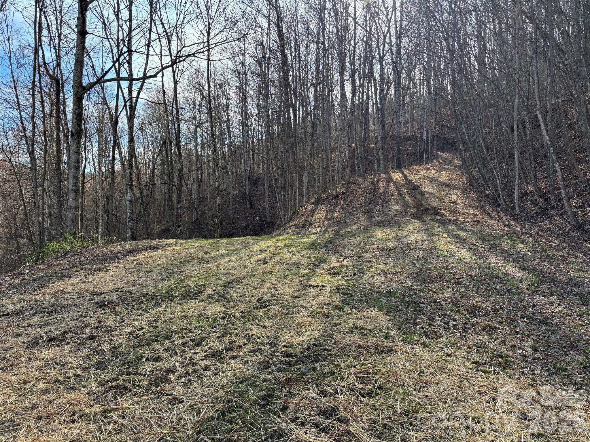 North Lot) Meadow Fork Road Hot Springs, NC 28743 - Photo 17 of 33