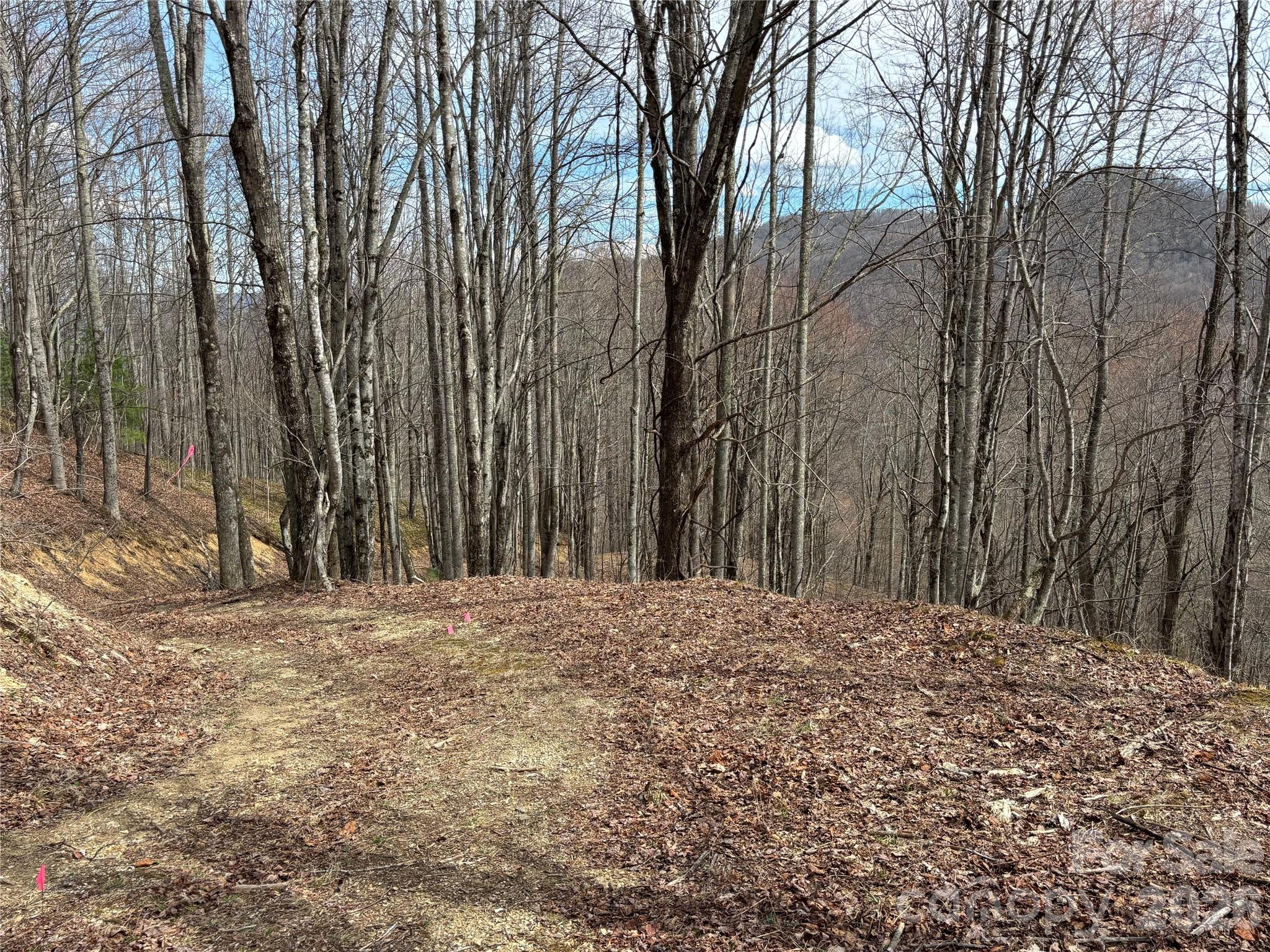 North Lot) Meadow Fork Road Hot Springs, NC 28743 - Photo 19 of 33