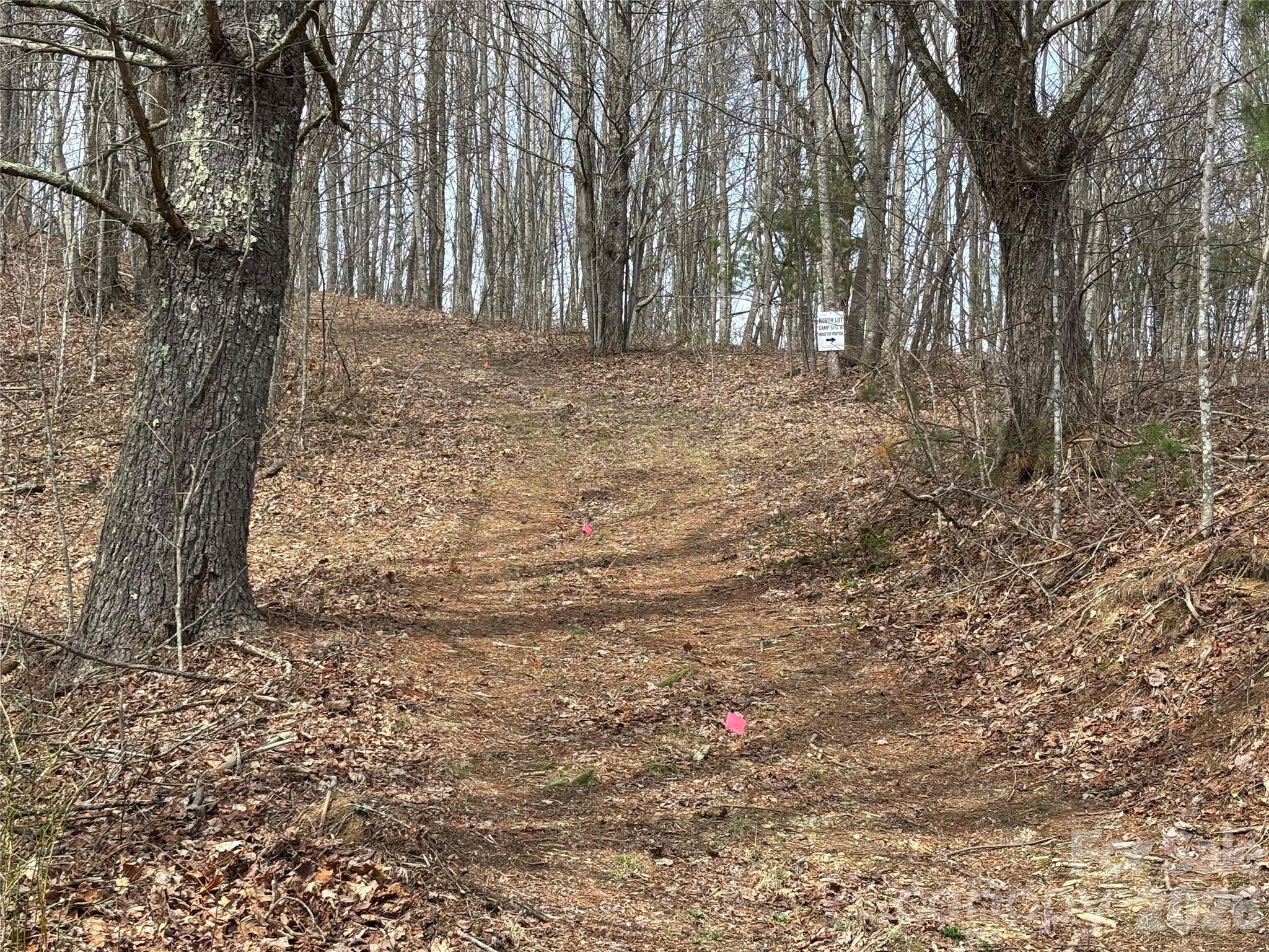 North Lot) Meadow Fork Road Hot Springs, NC 28743 - Photo 20 of 33