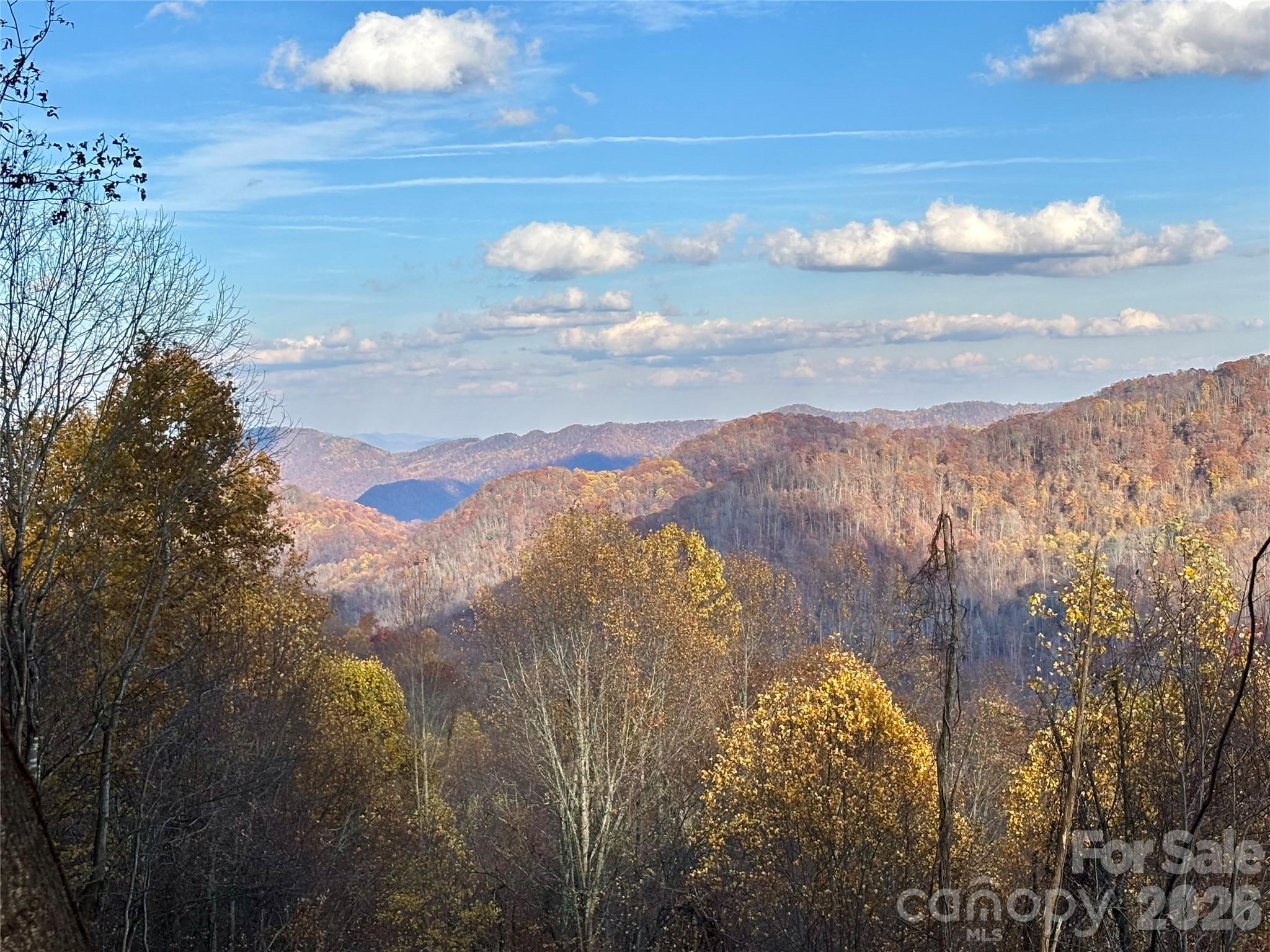 North Lot) Meadow Fork Road Hot Springs, NC 28743 - Photo 2 of 33