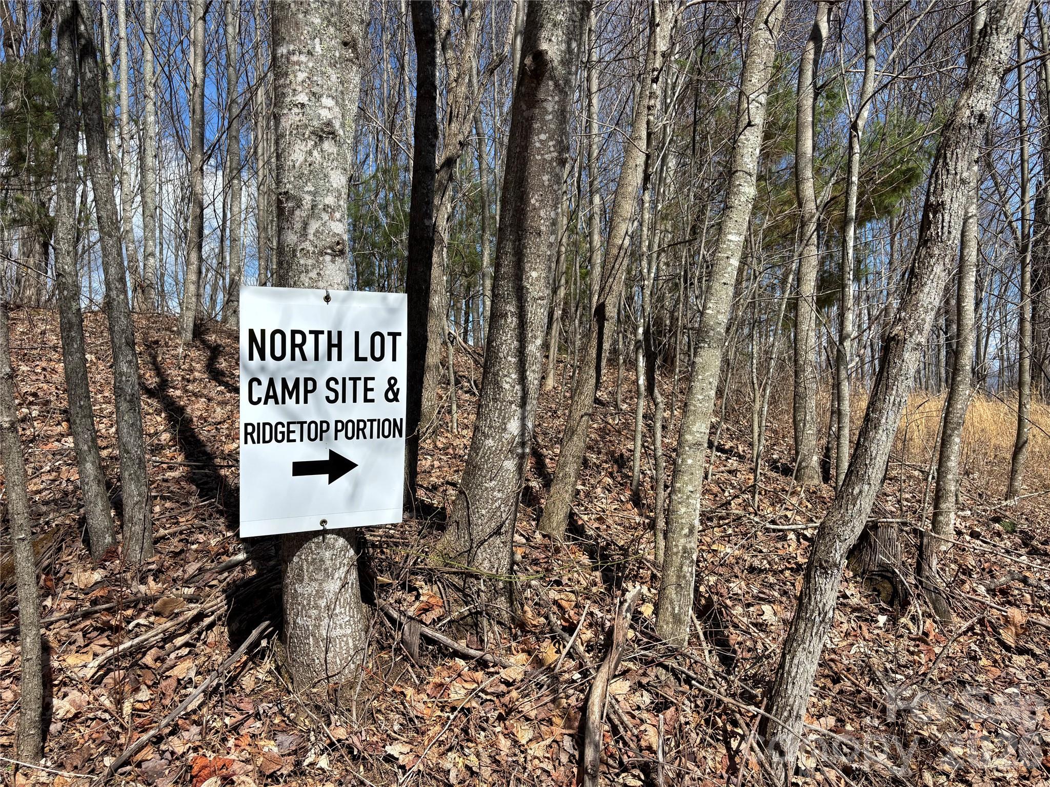 North Lot) Meadow Fork Road Hot Springs, NC 28743 - Photo 21 of 33