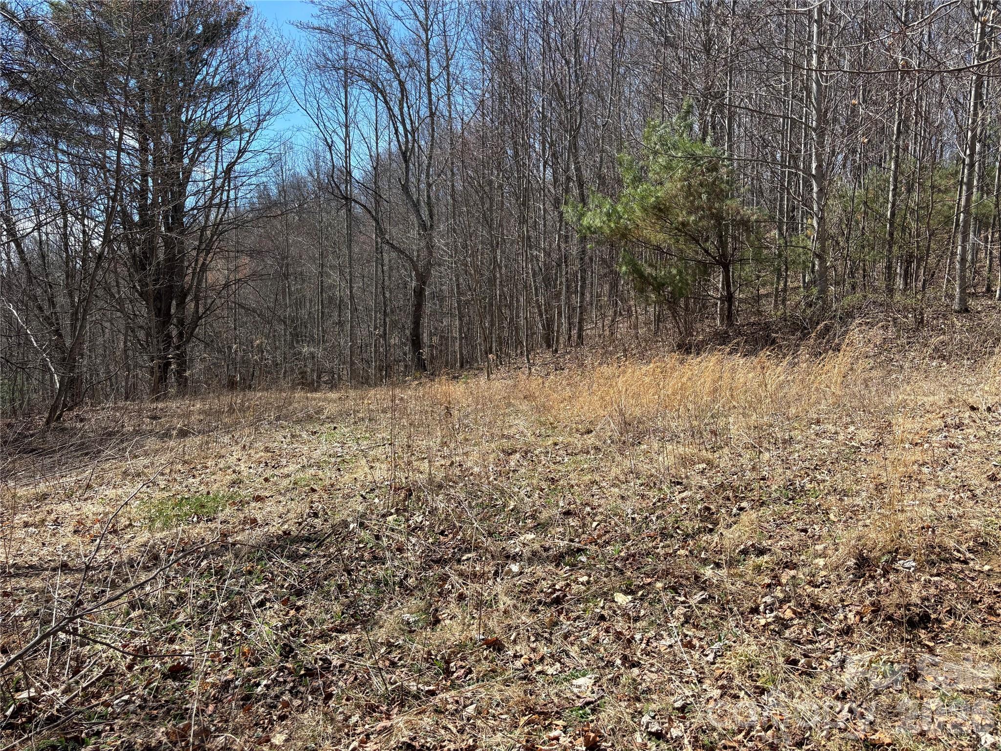 North Lot) Meadow Fork Road Hot Springs, NC 28743 - Photo 22 of 33