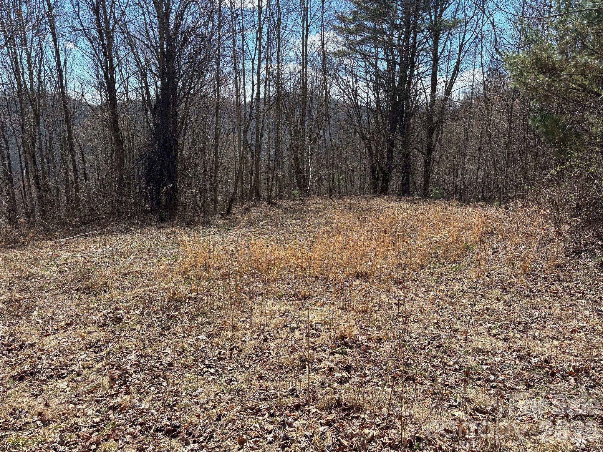 North Lot) Meadow Fork Road Hot Springs, NC 28743 - Photo 23 of 33