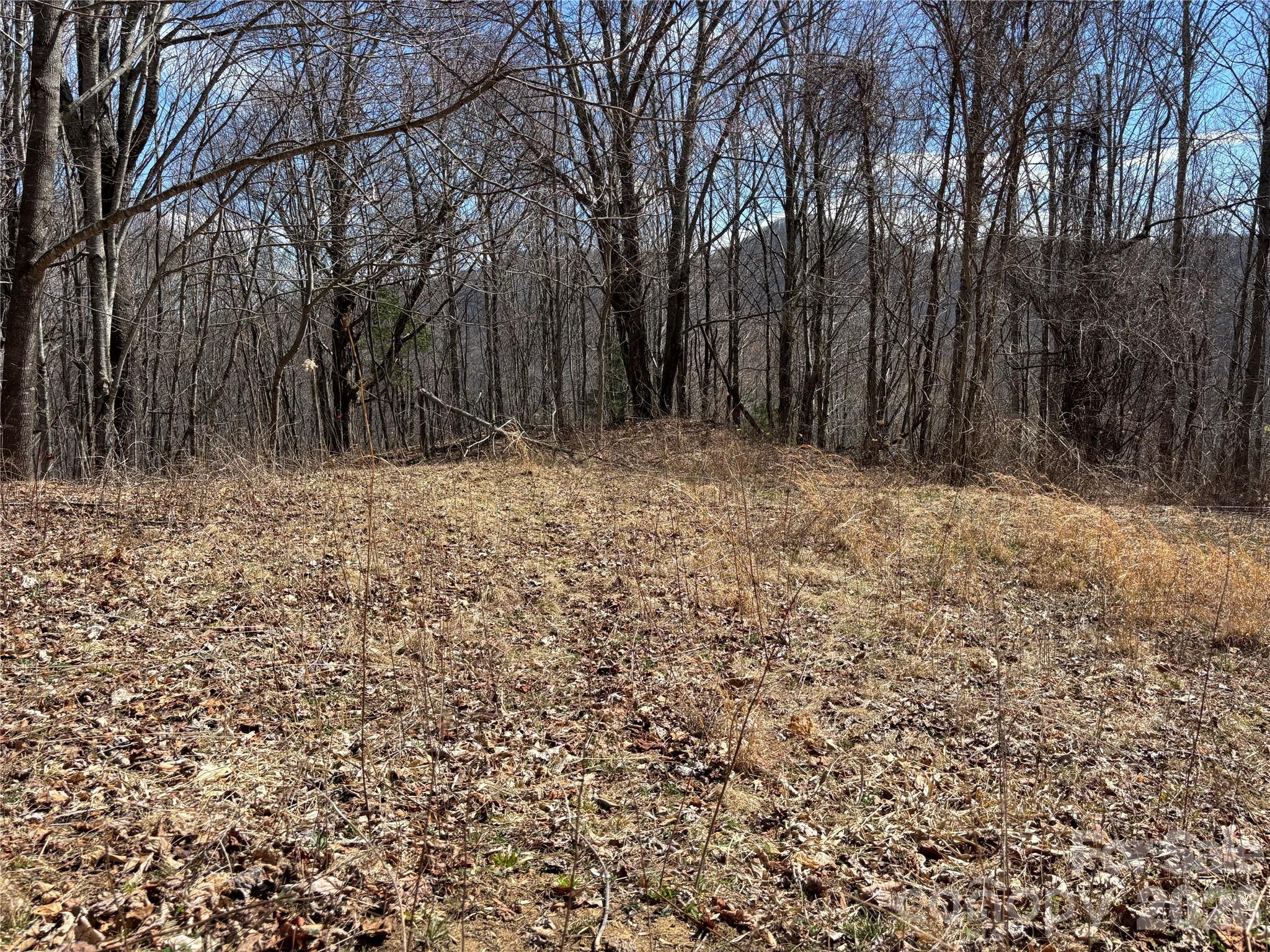 North Lot) Meadow Fork Road Hot Springs, NC 28743 - Photo 24 of 33