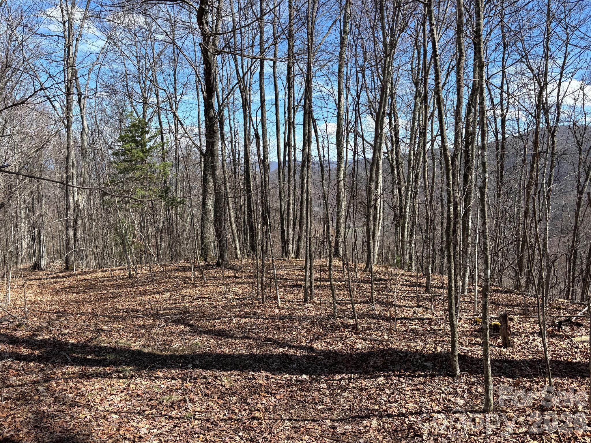 North Lot) Meadow Fork Road Hot Springs, NC 28743 - Photo 25 of 33