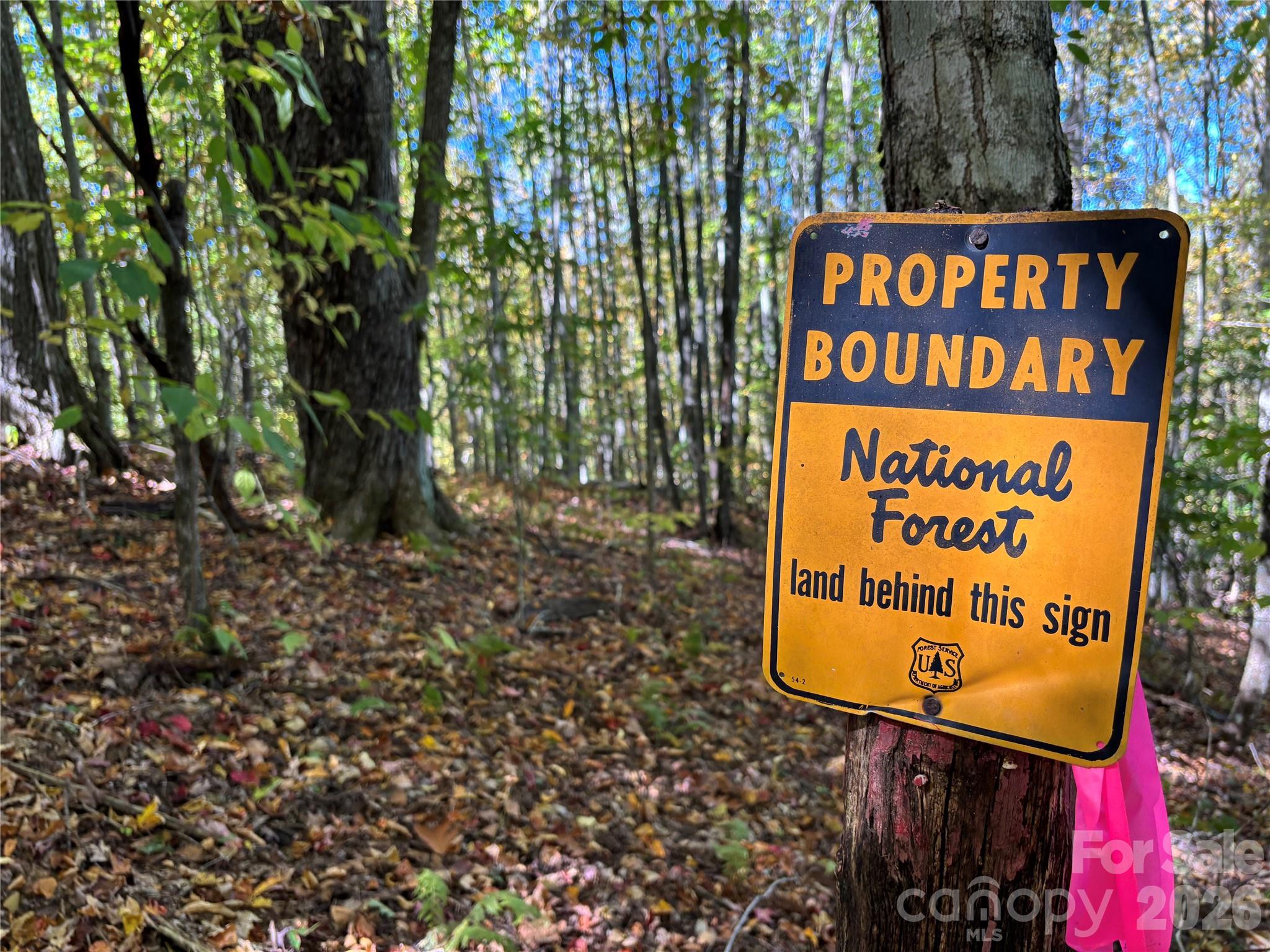 North Lot) Meadow Fork Road Hot Springs, NC 28743 - Photo 26 of 33