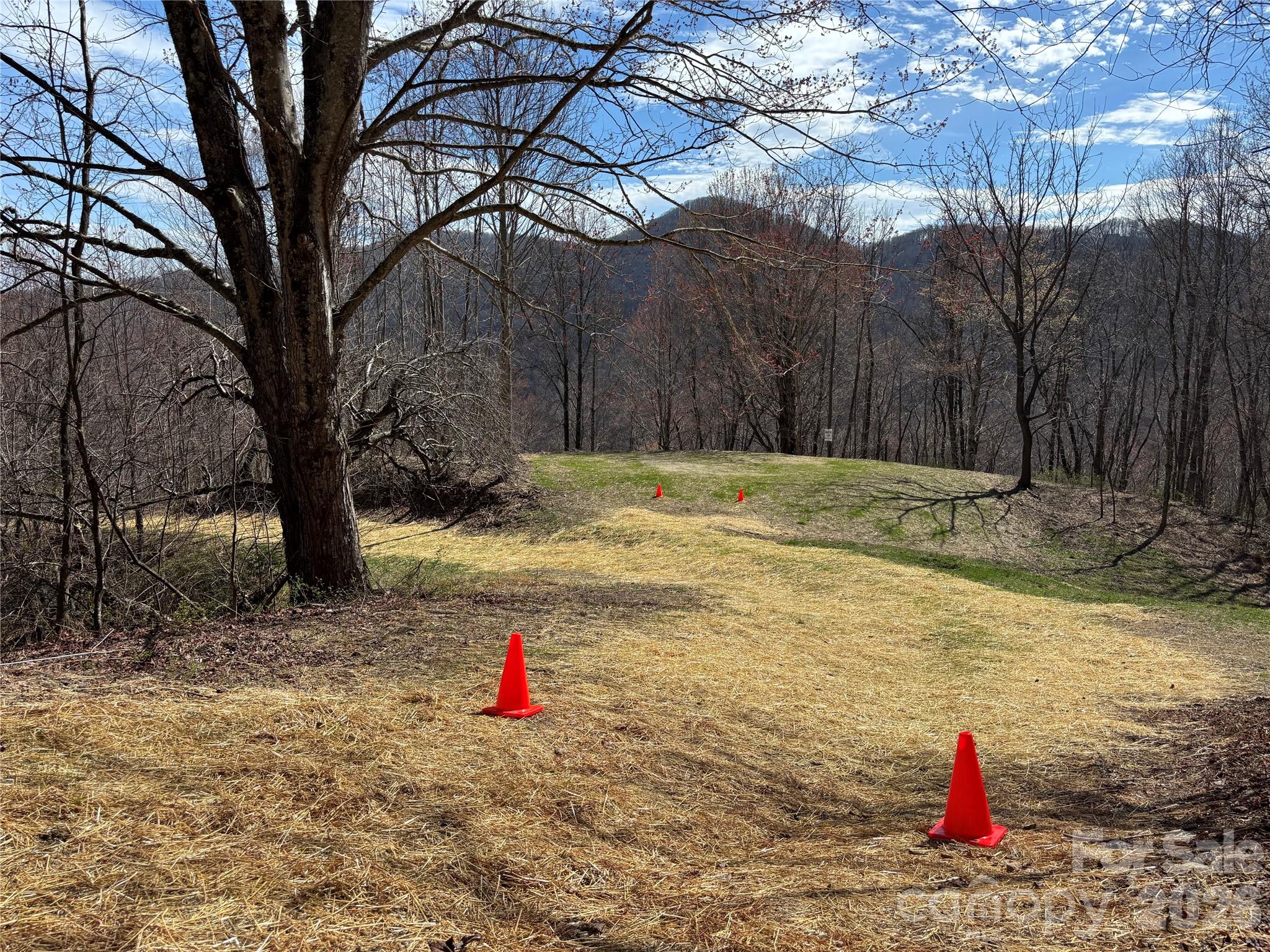 North Lot) Meadow Fork Road Hot Springs, NC 28743 - Photo 28 of 33