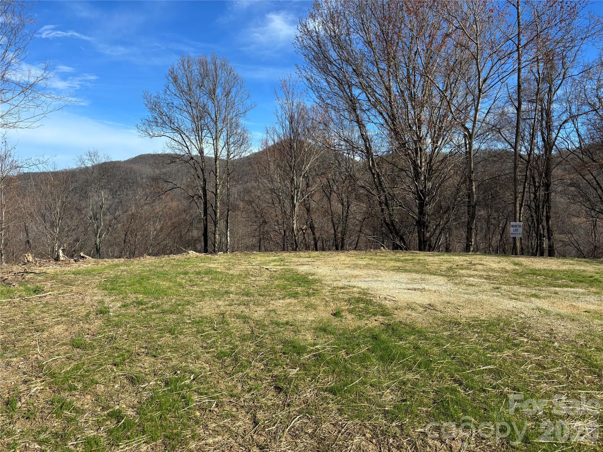 North Lot) Meadow Fork Road Hot Springs, NC 28743 - Photo 29 of 33