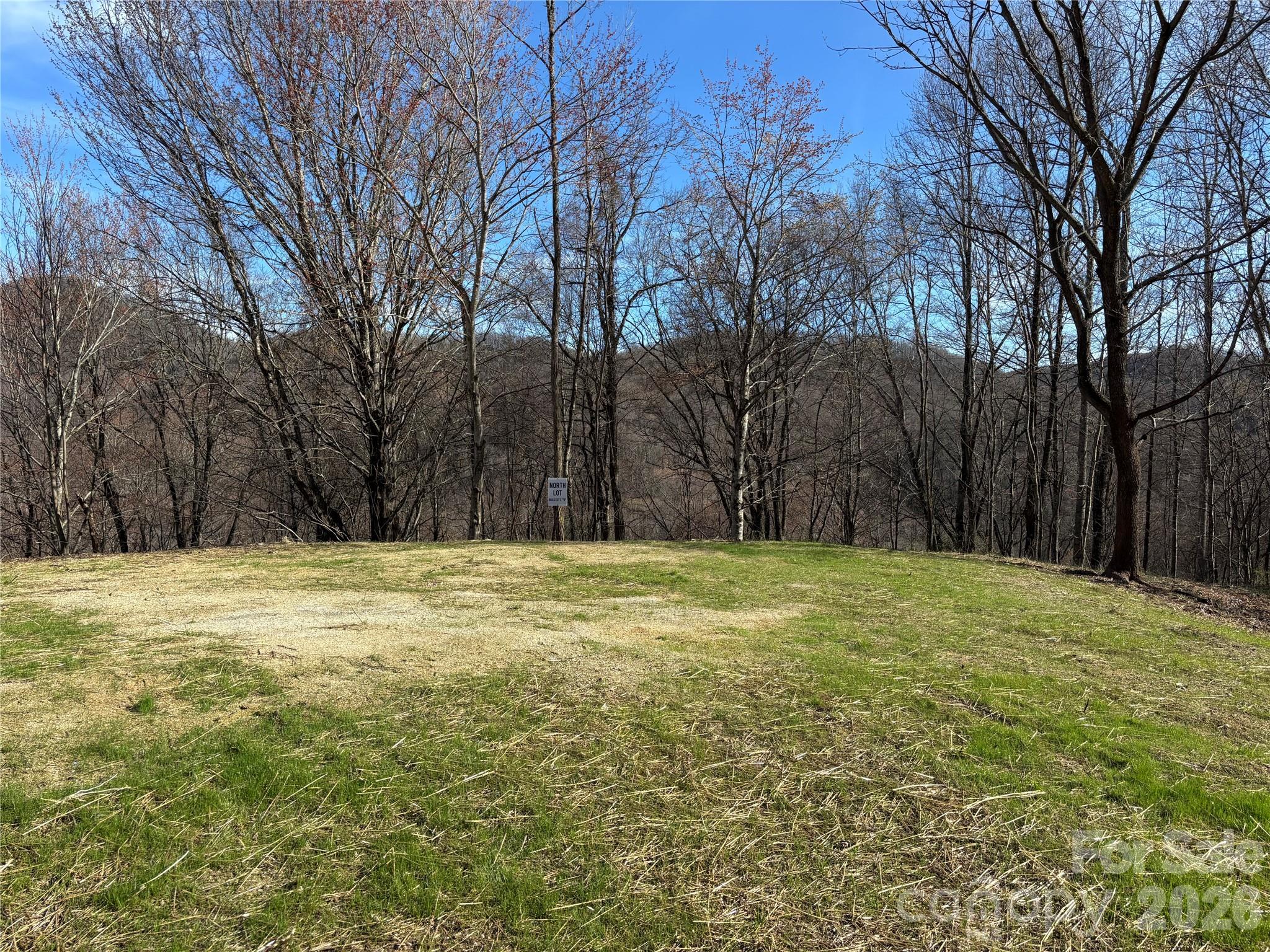 North Lot) Meadow Fork Road Hot Springs, NC 28743 - Photo 30 of 33