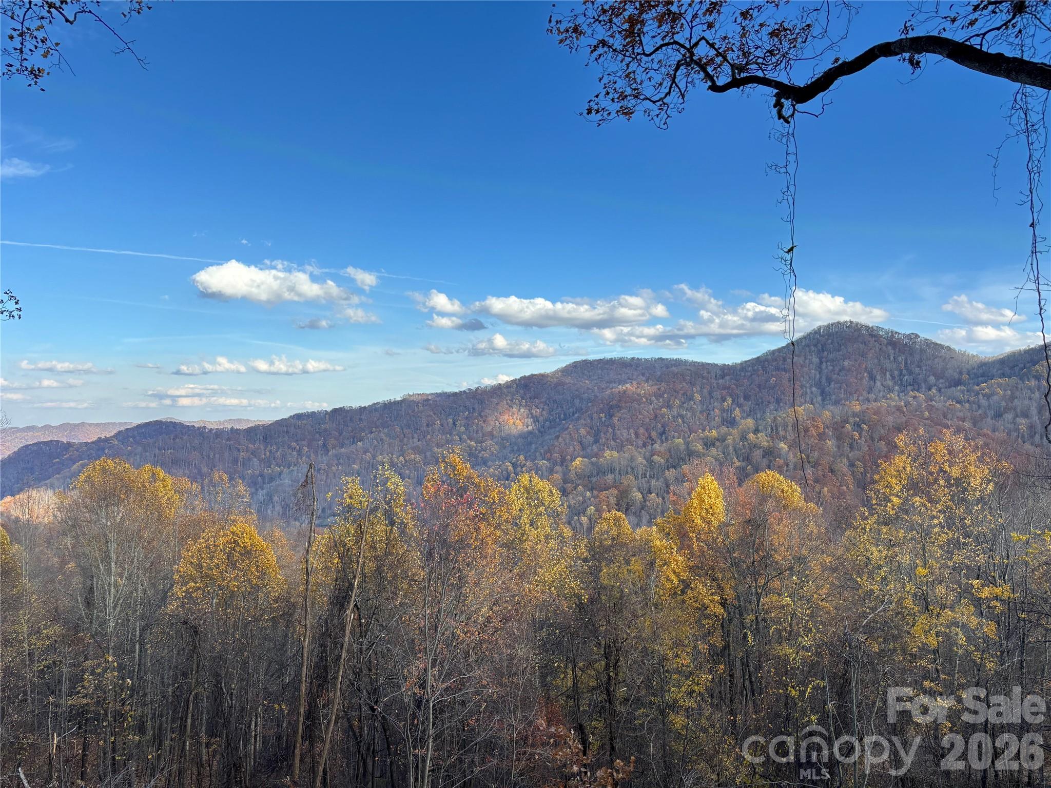 North Lot) Meadow Fork Road Hot Springs, NC 28743 - Photo 3 of 33