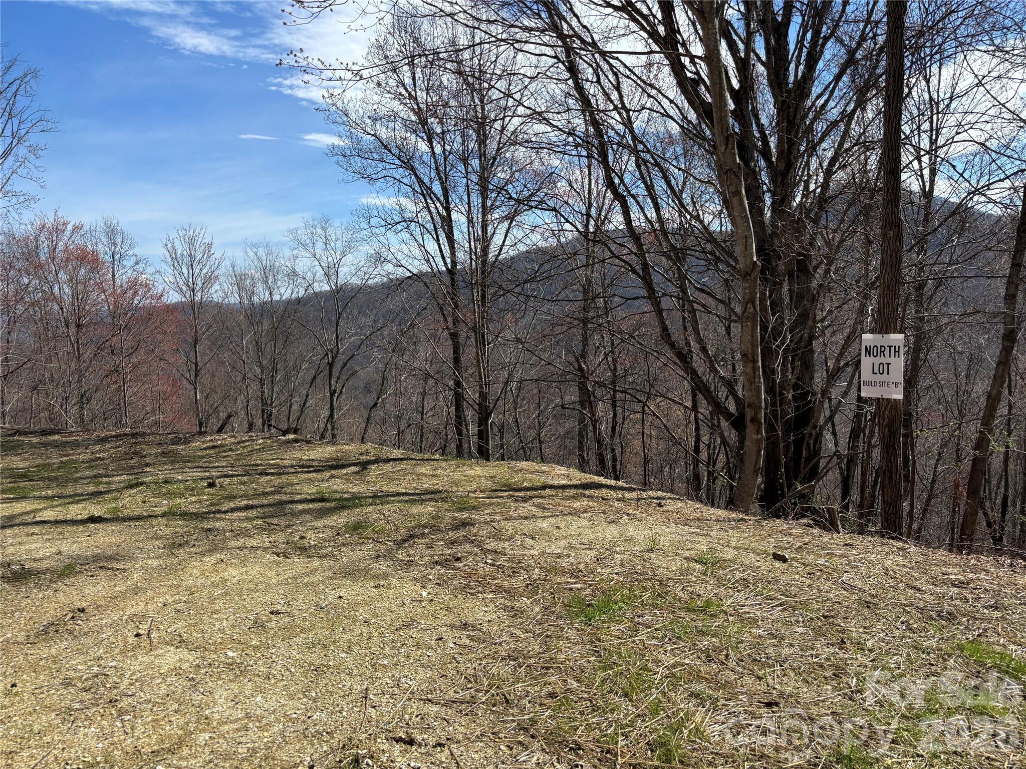 North Lot) Meadow Fork Road Hot Springs, NC 28743 - Photo 31 of 33