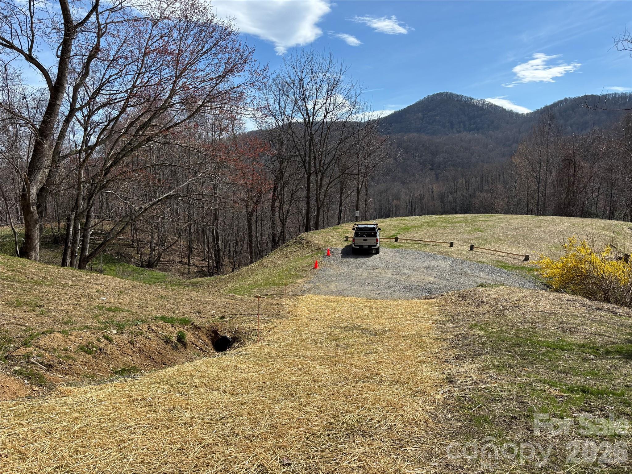 North Lot) Meadow Fork Road Hot Springs, NC 28743 - Photo 32 of 33