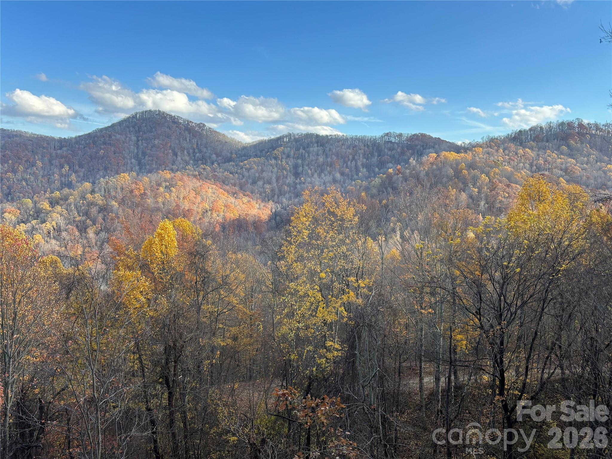 North Lot) Meadow Fork Road Hot Springs, NC 28743 - Photo 4 of 33