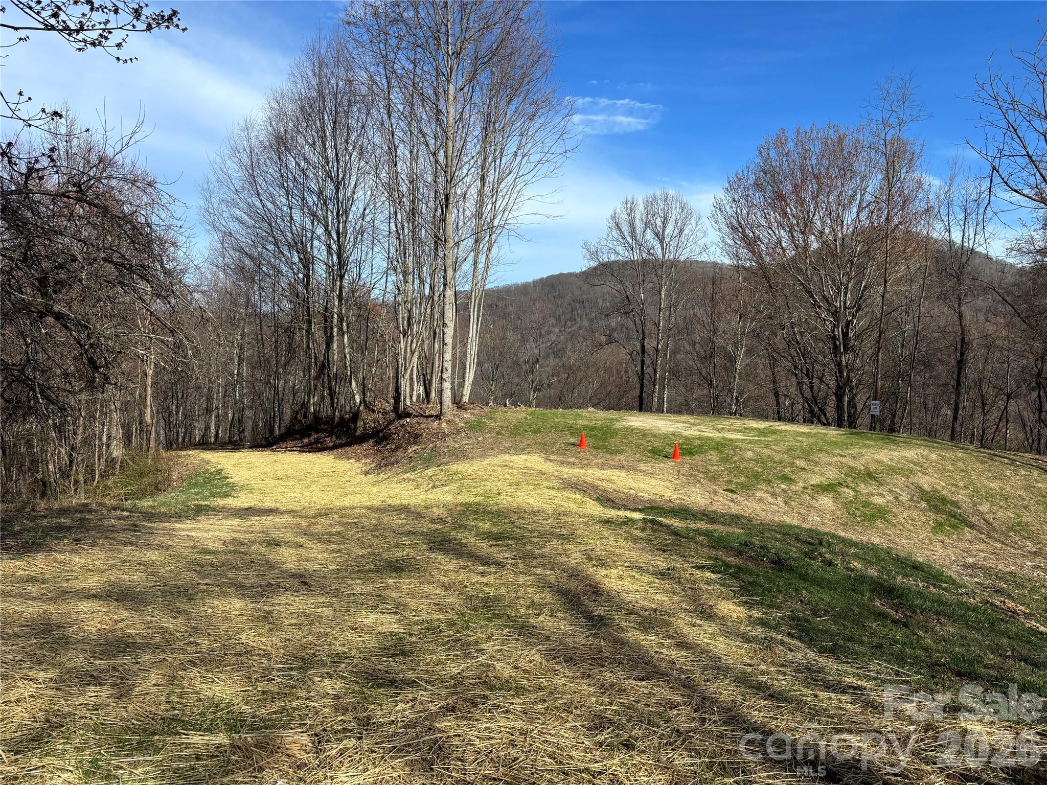 North Lot) Meadow Fork Road Hot Springs, NC 28743 - Photo 6 of 33